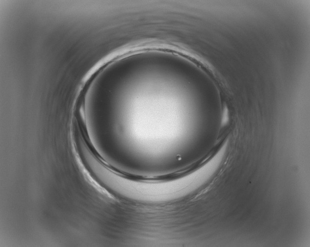 X0000080791518200612151441