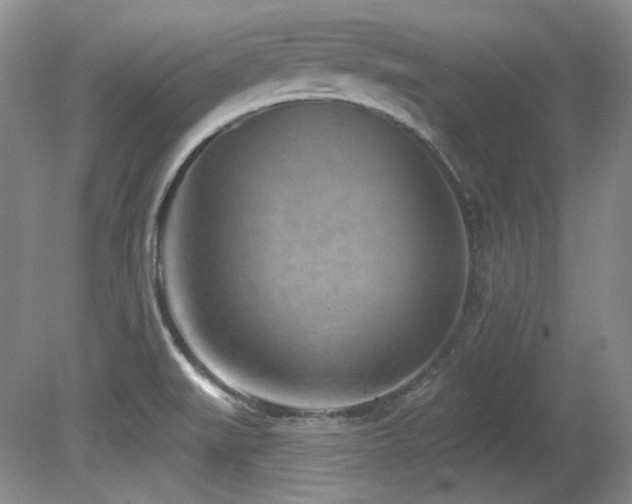 X0000080791519200612151441