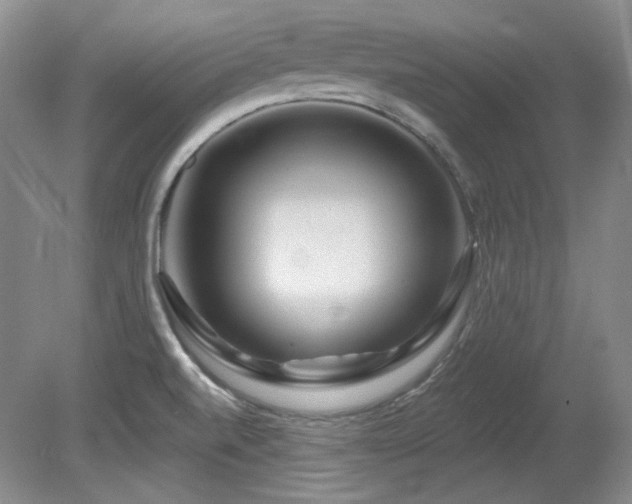 X0000080791520200612151441