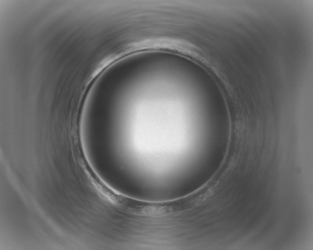 X0000080791521200612151441