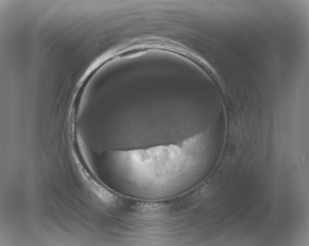 X0000080791522200612151441