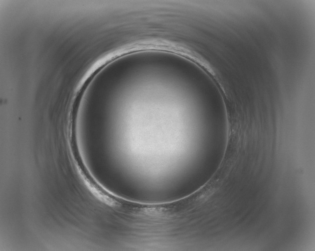 X0000080791523200612151441