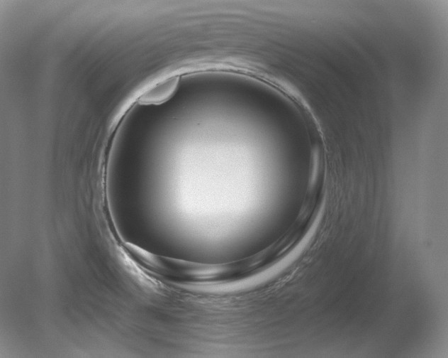 X0000080791524200612151441