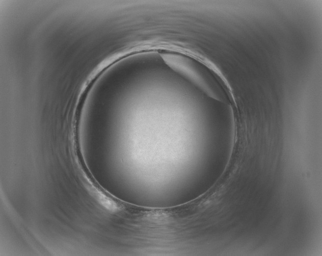 X0000080791525200612151441