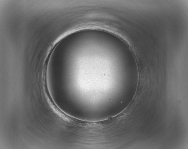 X0000080791526200612151441