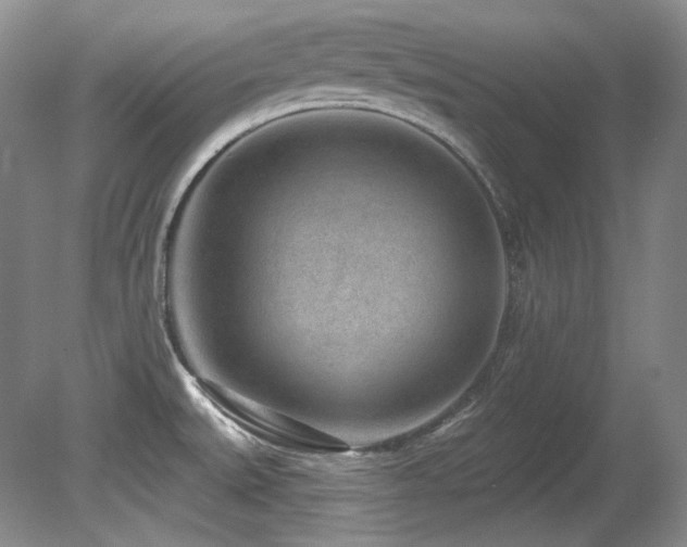 X0000080791527200612151441