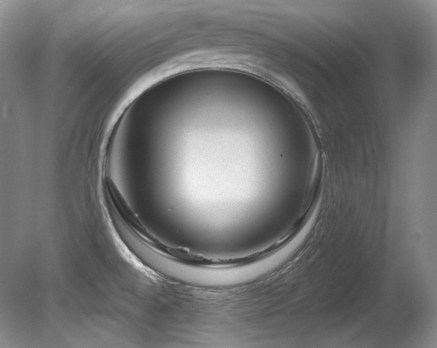 X0000080791528200612151441