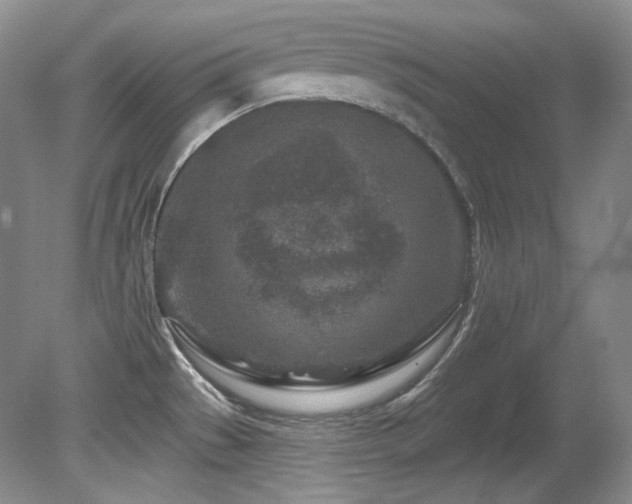 X0000080791529200612151441