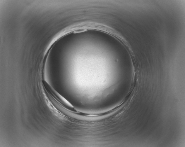 X0000080791530200612151442