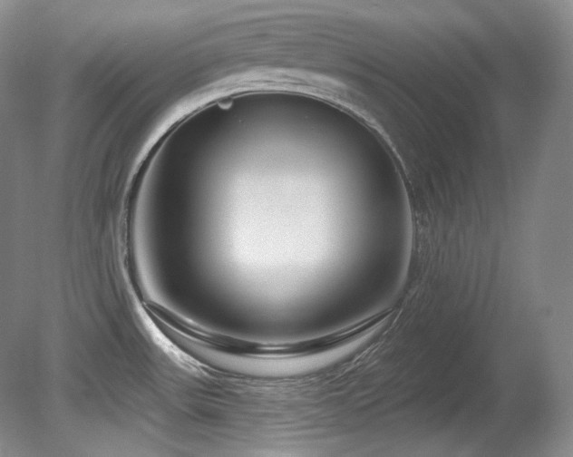 X0000080791531200612151442