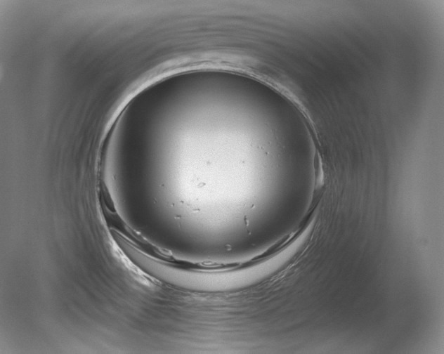 X0000080791532200612151442