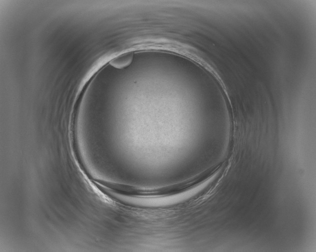 X0000080791533200612151442