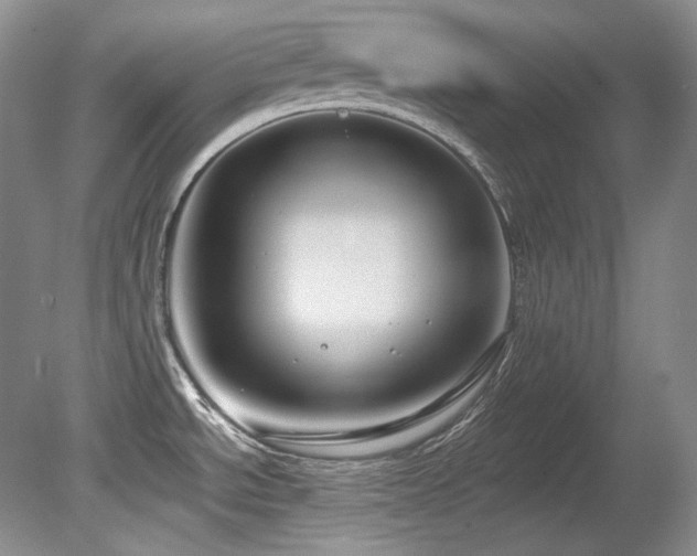 X0000080791534200612151442