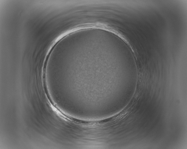 X0000080791535200612151442