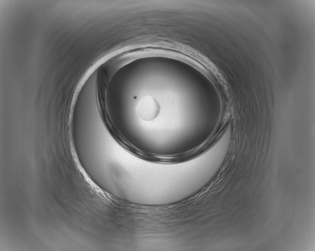 X0000080791536200612151442