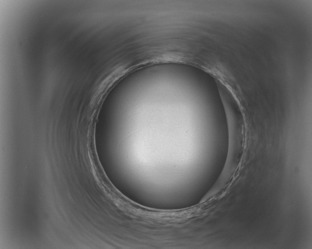 X0000080790001200612221541