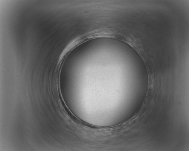 X0000080790004200612221541
