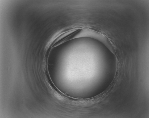 X0000080790005200612221541