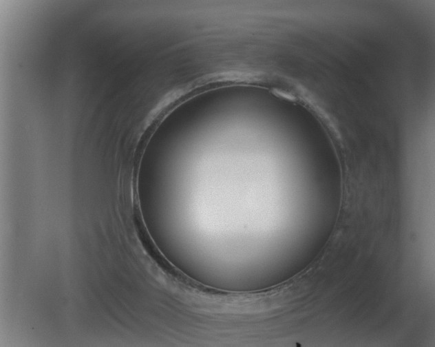X0000080790011200612221541
