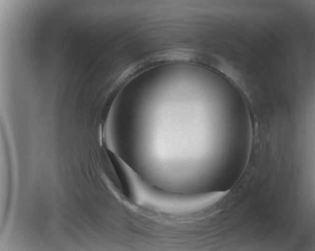 X0000080790013200612221541