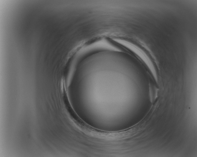 X0000080790019200612221540