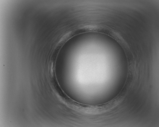 X0000080790024200612221540