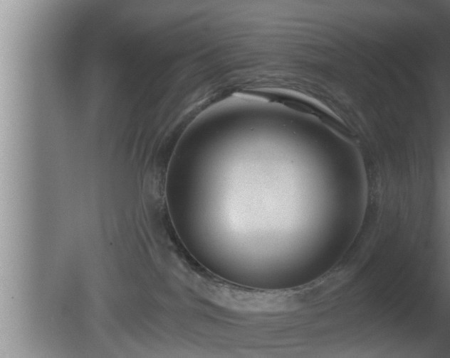X0000080790044200612221540