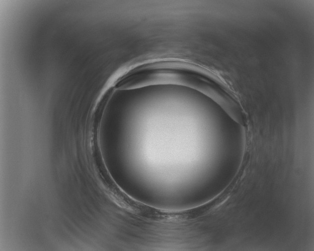 X0000080790056200612221539