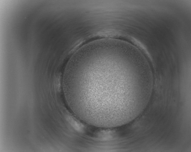 X0000080790065200612221539