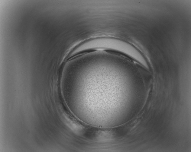 X0000080790107200612221539