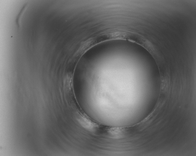 X0000080790142200612221538