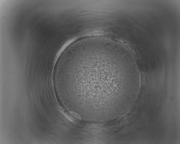 X0000080790147200612221538