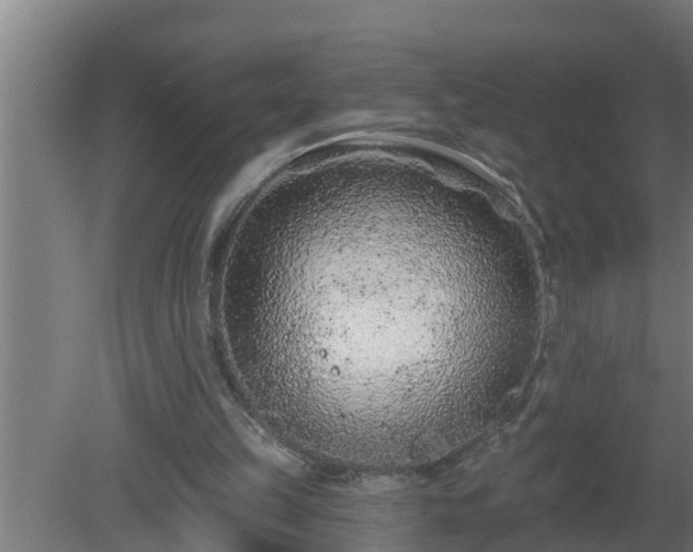X0000080790149200612221538
