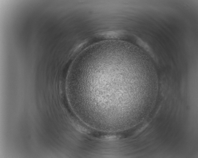 X0000080790161200612221538