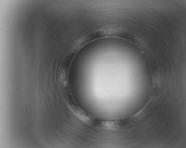 X0000080790187200612221538
