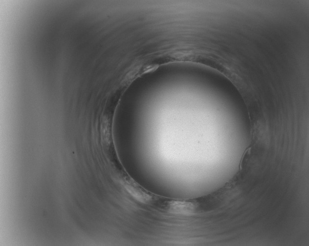 X0000080790234200612221537