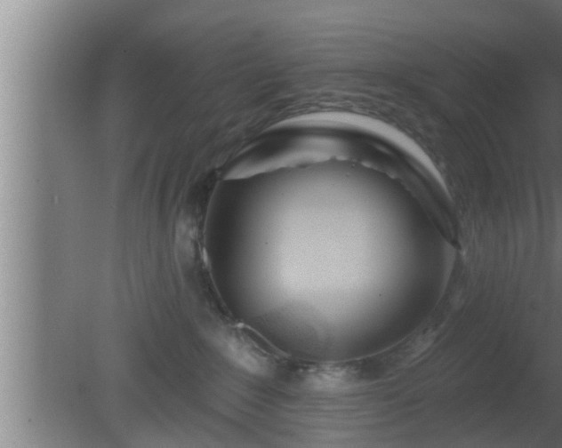 X0000080790235200612221537