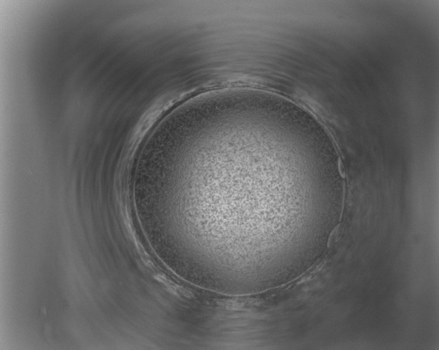 X0000080790241200612221536