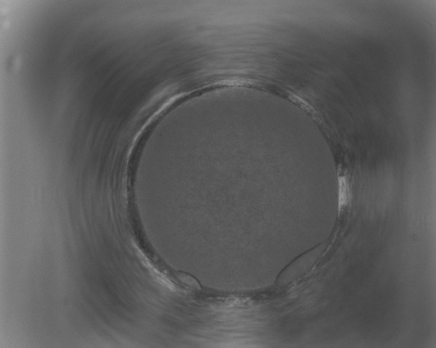 X0000080790243200612221536