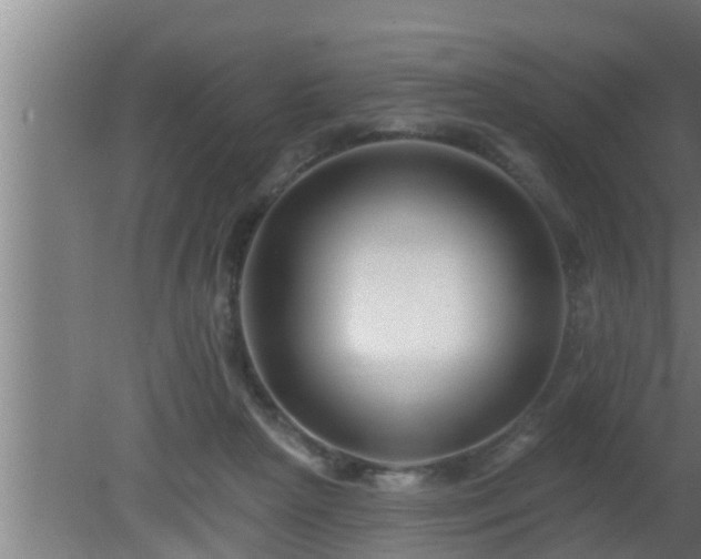 X0000080790265200612221536