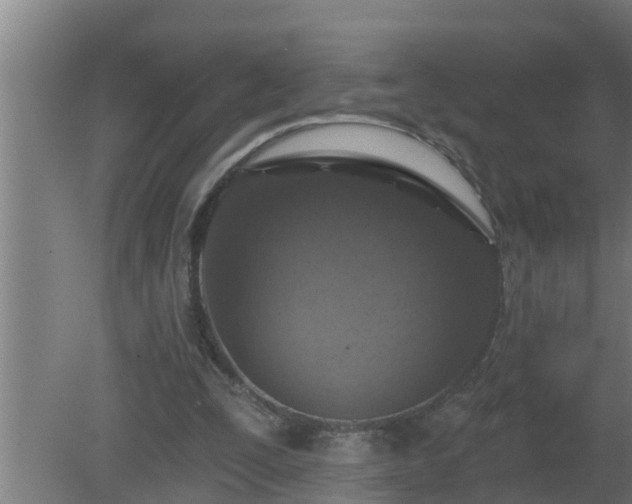 X0000080790295200612221536