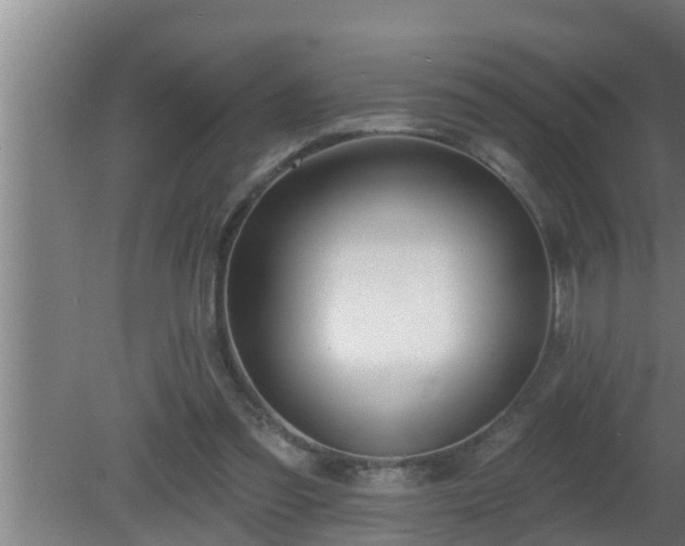 X0000080790301200612221536