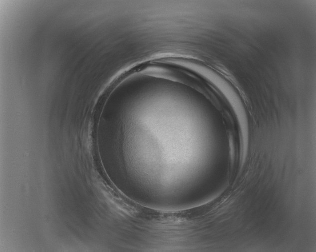 X0000080790387200612221534