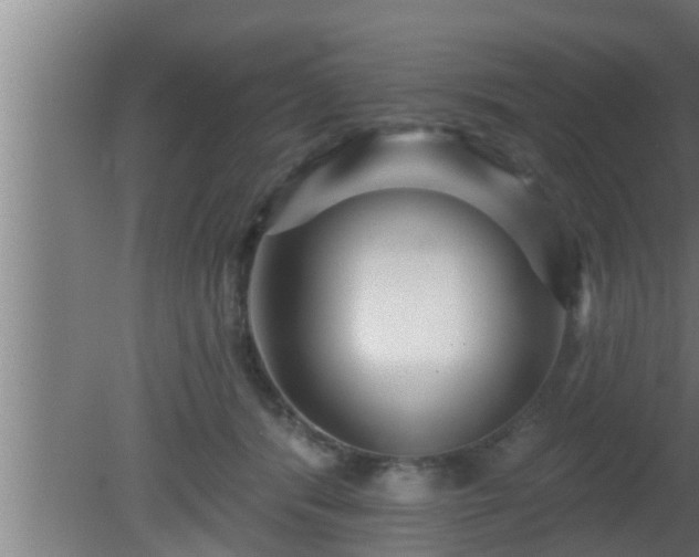 X0000080790416200612221534