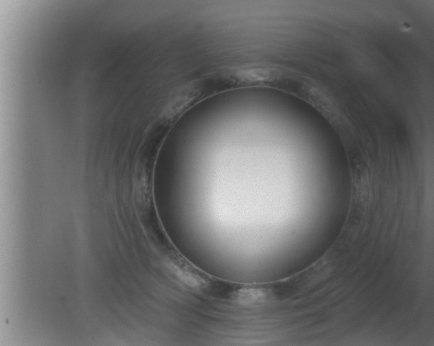 X0000080790418200612221534