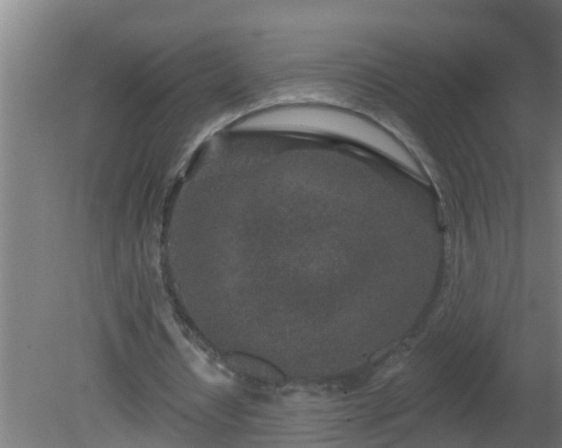 X0000080790434200612221533