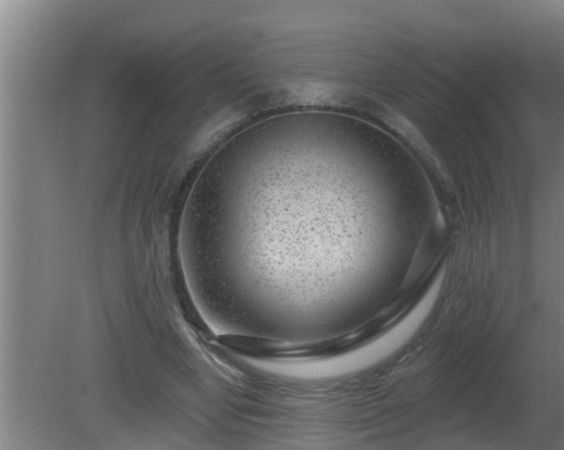 X0000080790442200612221533