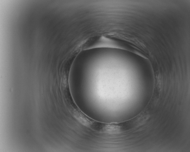 X0000080790617200612221530