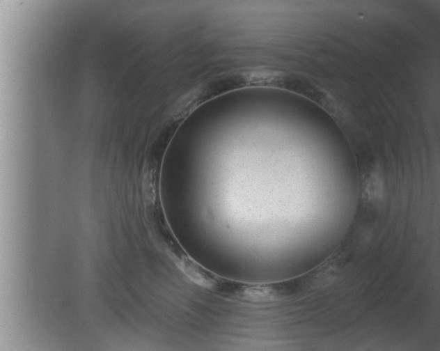 X0000080790666200612221530