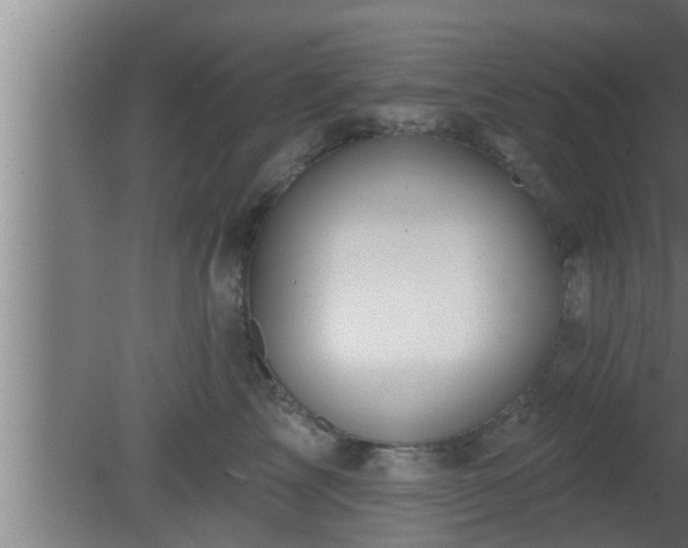 X0000080790713200612221529